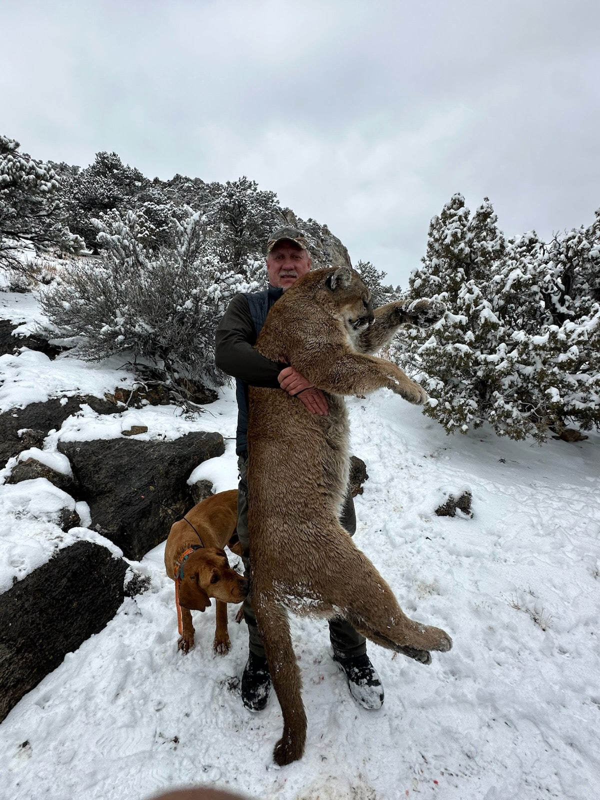 Guided Mountain Lion Hunt Giveaway - 550 ENTRIES TOTAL - Double Entries!