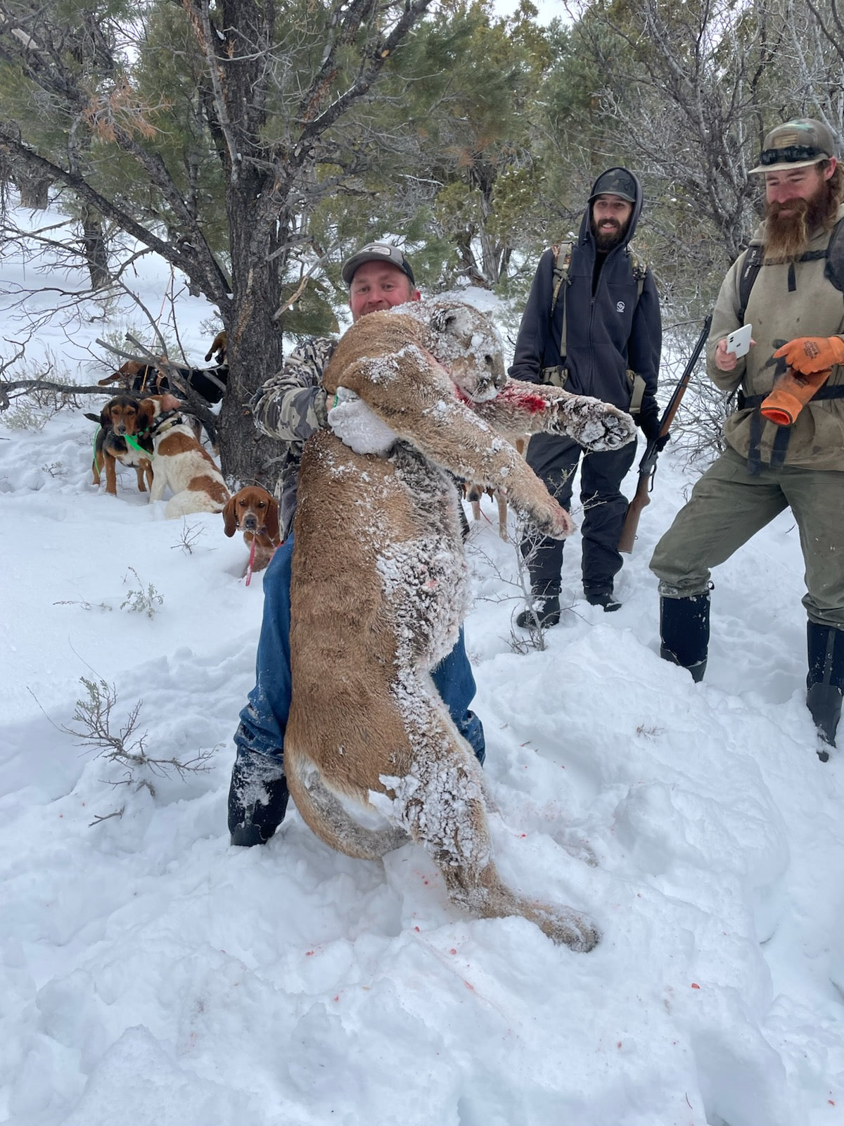 Guided Mountain Lion Hunt Giveaway - 550 ENTRIES TOTAL - Double Entries!