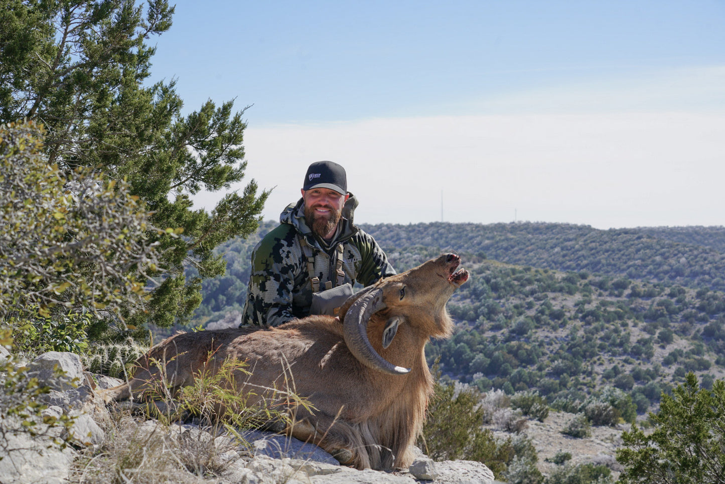 1 Aoudad Hunt Entry