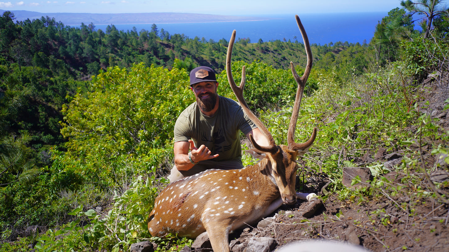 Island Axis Hunt Giveaway - 350 Entries