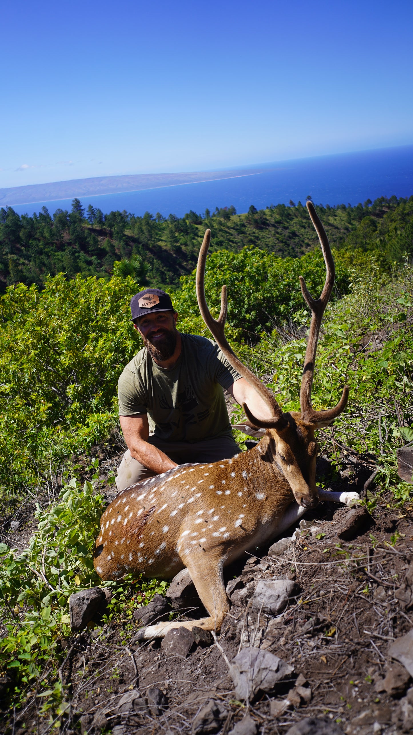 Island Axis Hunt Giveaway - 350 Entries