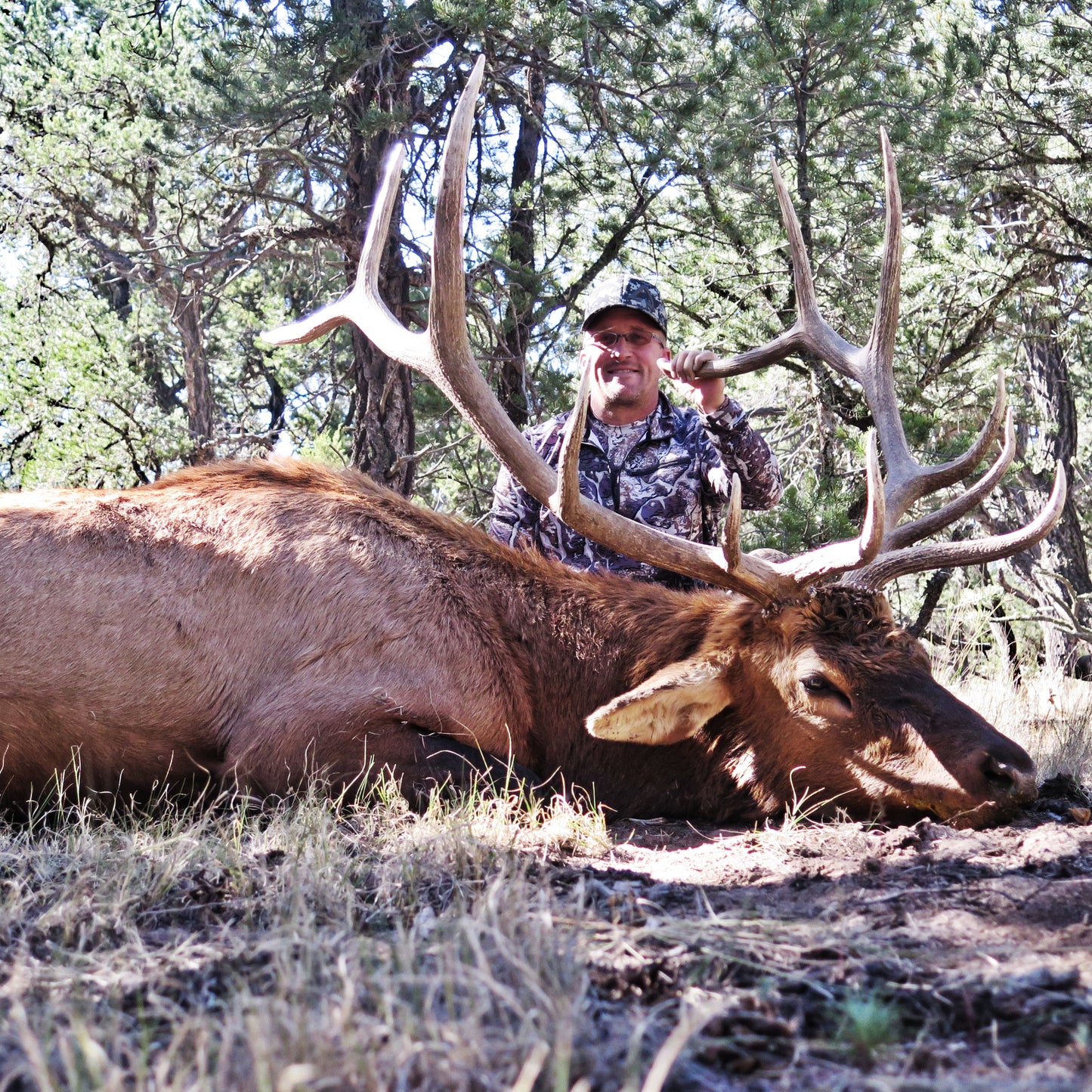 GUIDED ELK HUNT - Only 300 Entries $20,000 Dollar Value