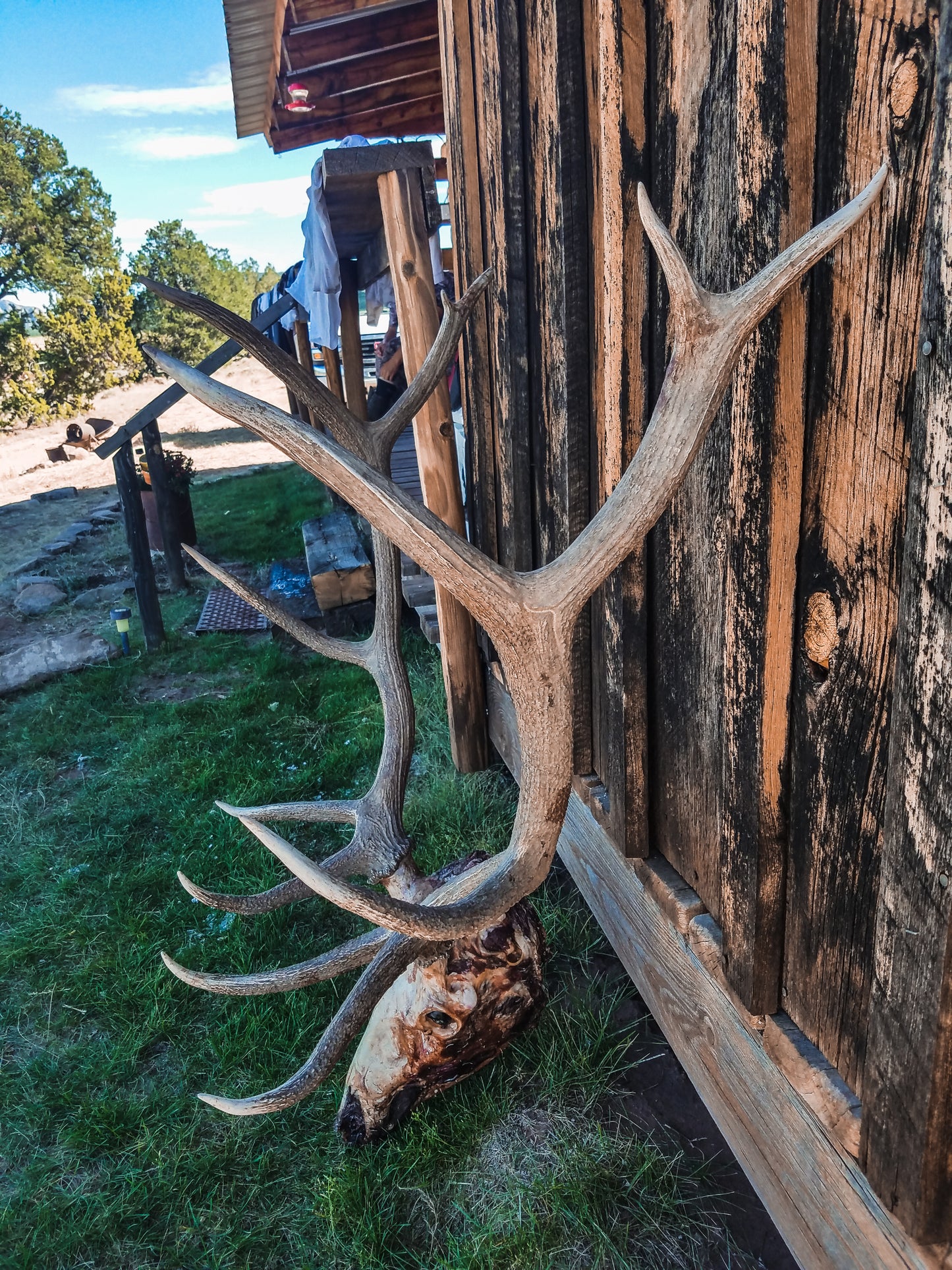 GUIDED ELK HUNT - Only 300 Entries $20,000 Dollar Value