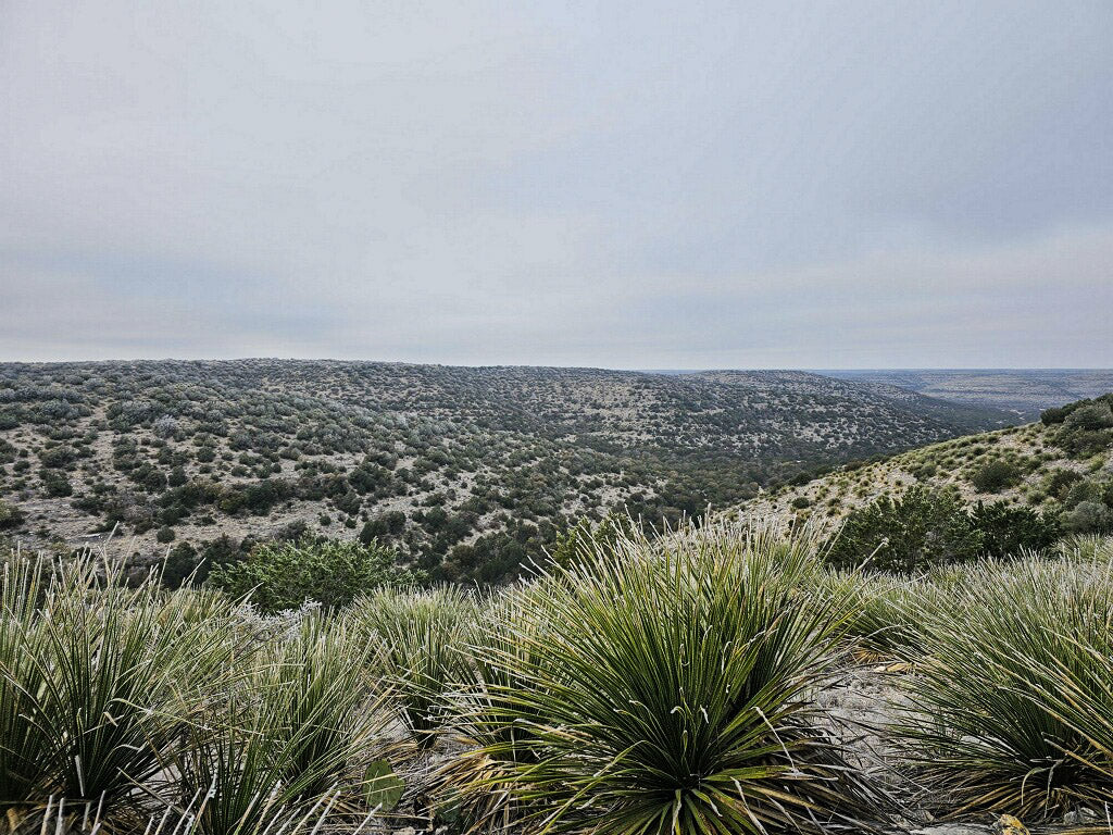 1 Aoudad Hunt Entry