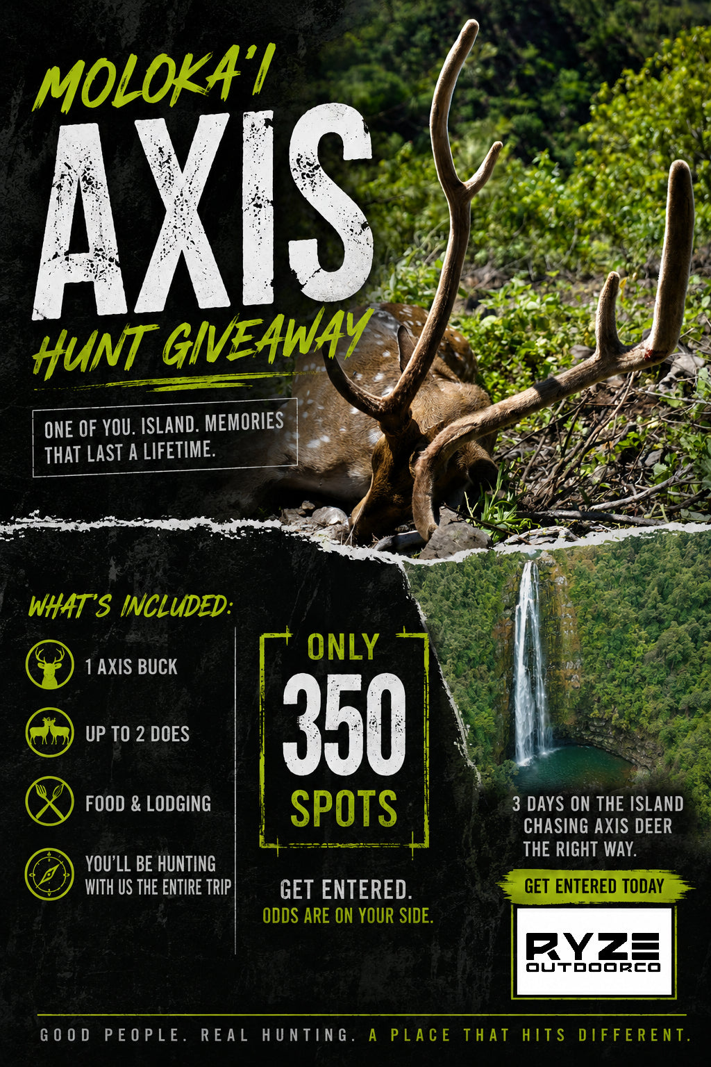 Island Axis Hunt Giveaway - 350 Entries